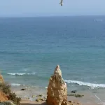 דירה Da Rocha, Algarve Sunny